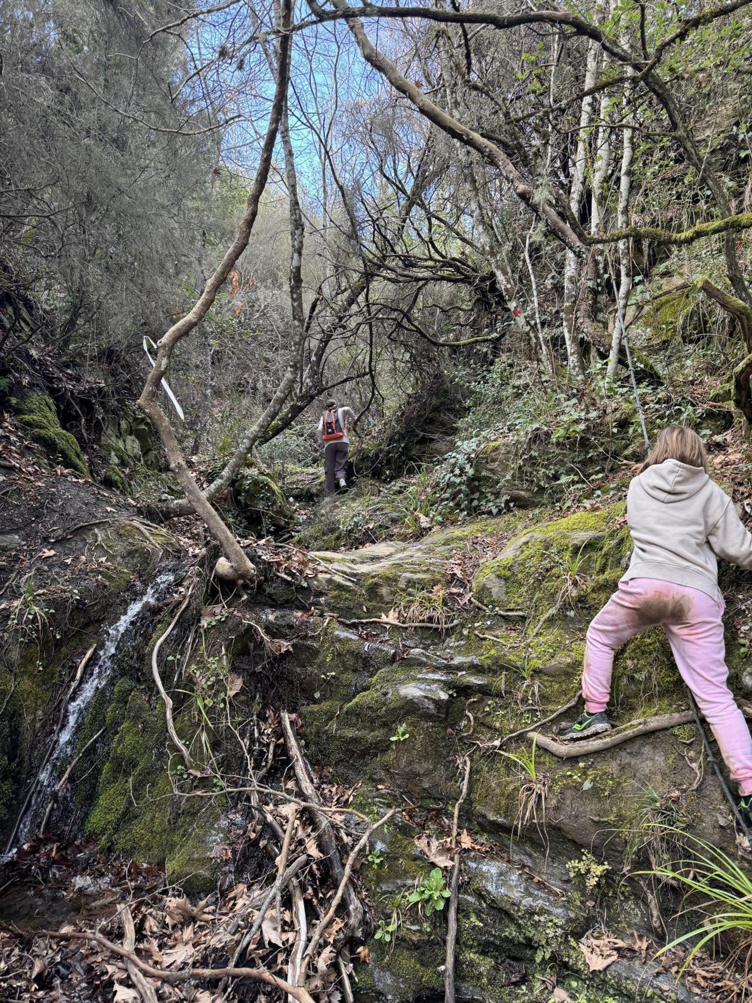Foresta In Medias Mores Tripoli Luaran gambar