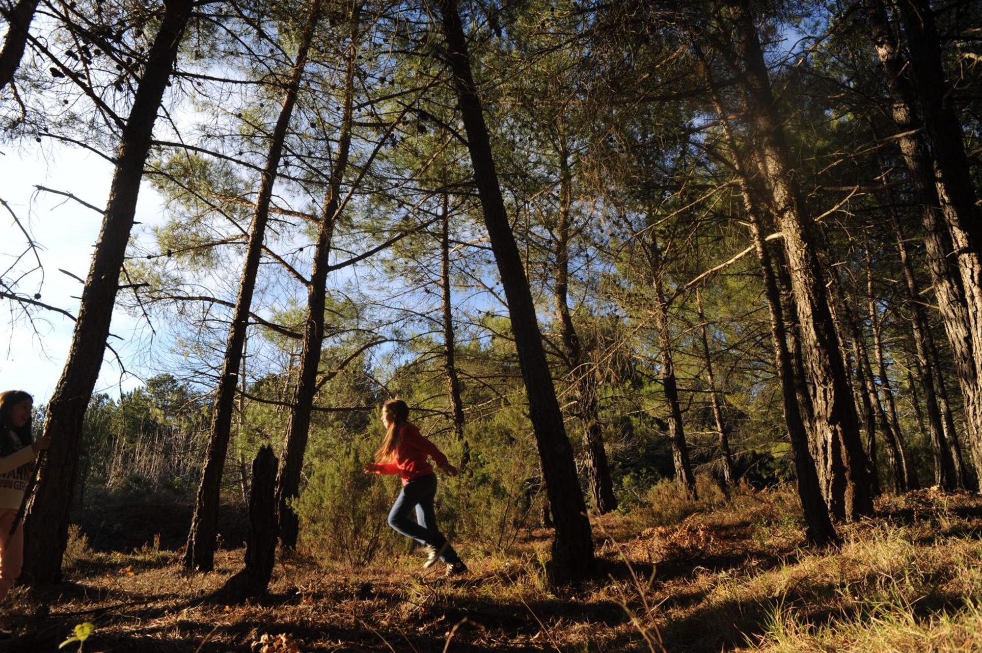 Foresta In Medias Mores Tripoli Luaran gambar