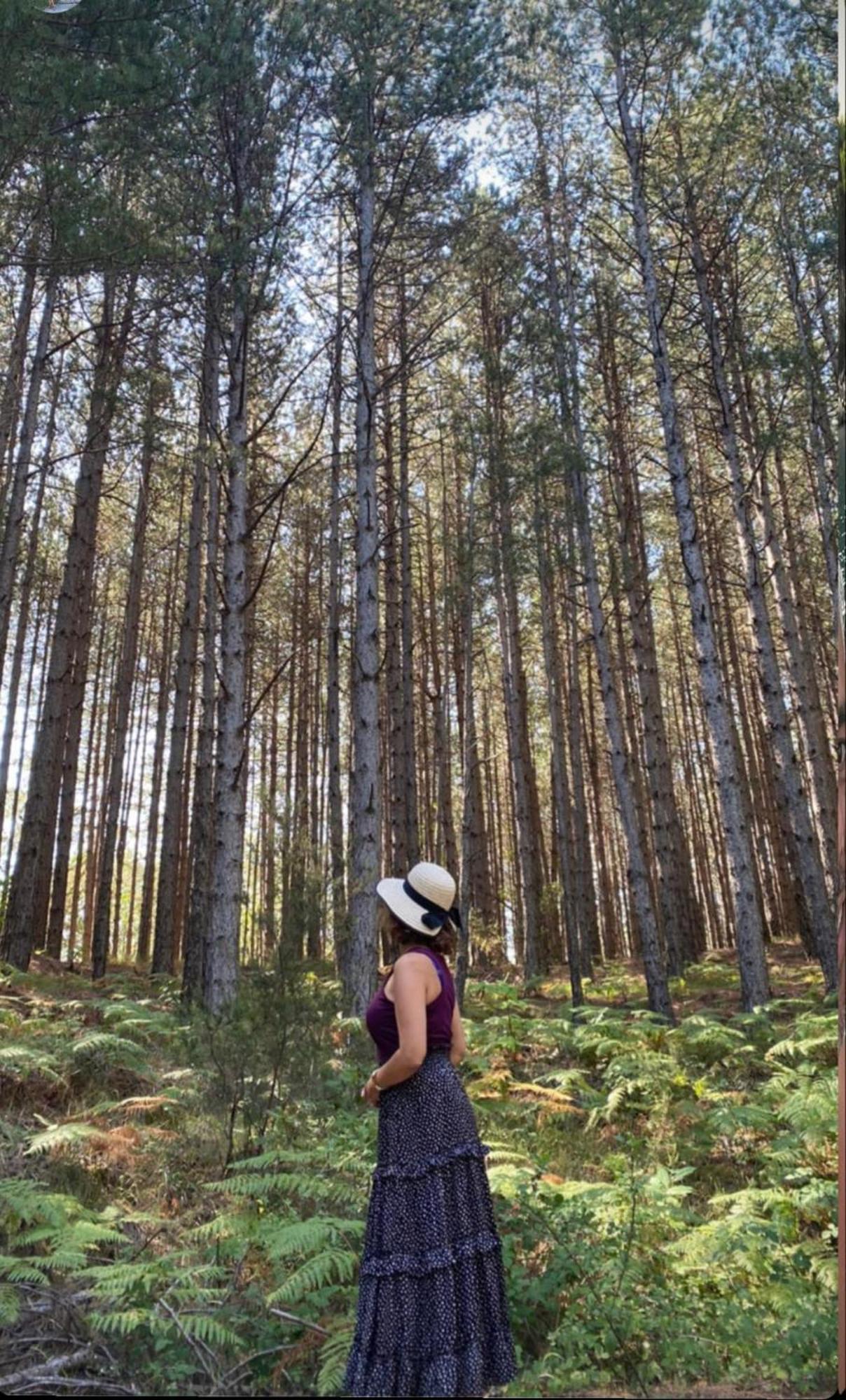 Foresta In Medias Mores Tripoli Luaran gambar