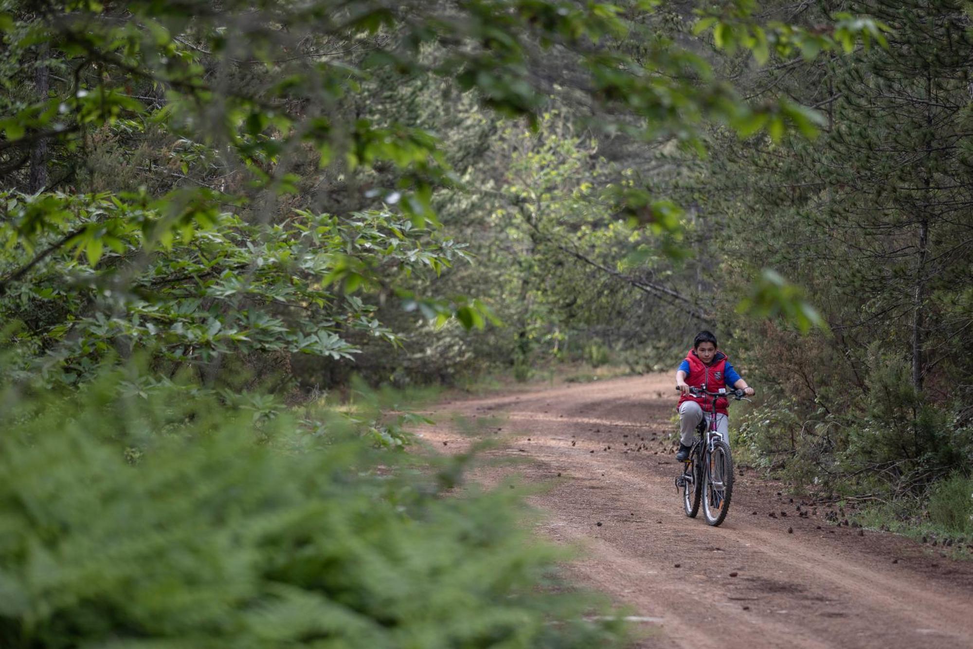 Foresta In Medias Mores Tripoli Luaran gambar