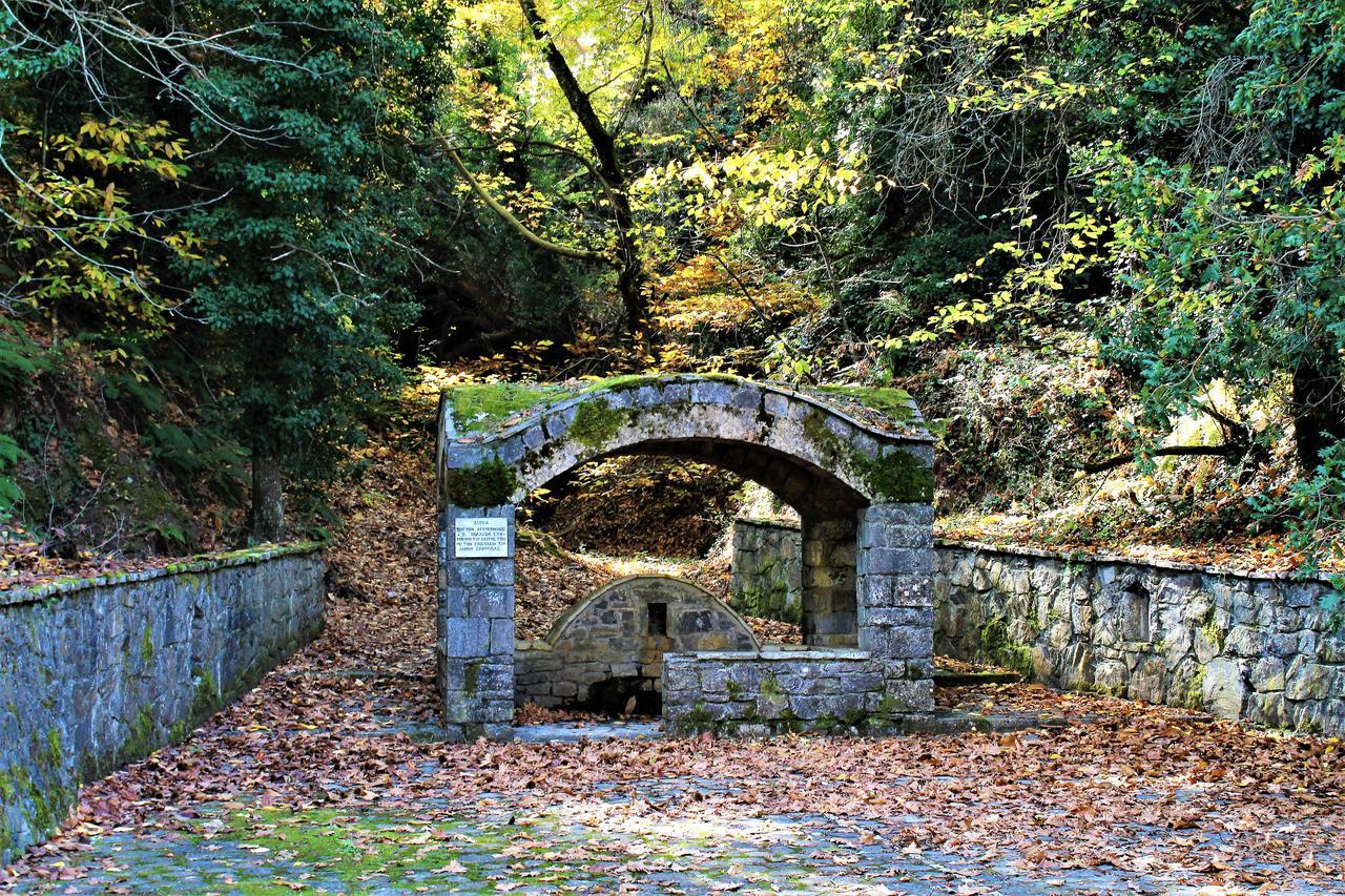 Foresta In Medias Mores Tripoli Luaran gambar