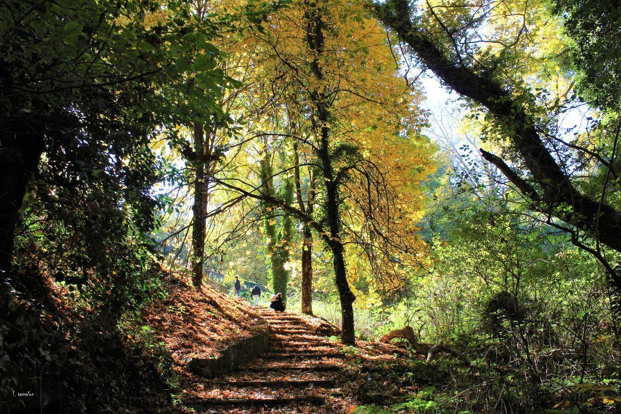 Foresta In Medias Mores Tripoli Luaran gambar